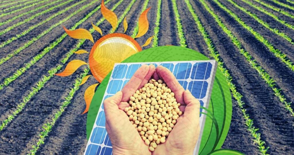 energia solar para agricultura energia solar para agricultura