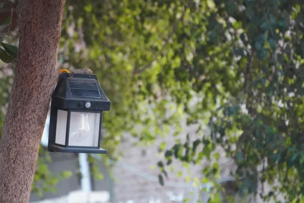 A solar-powered lantern hangs on a tree