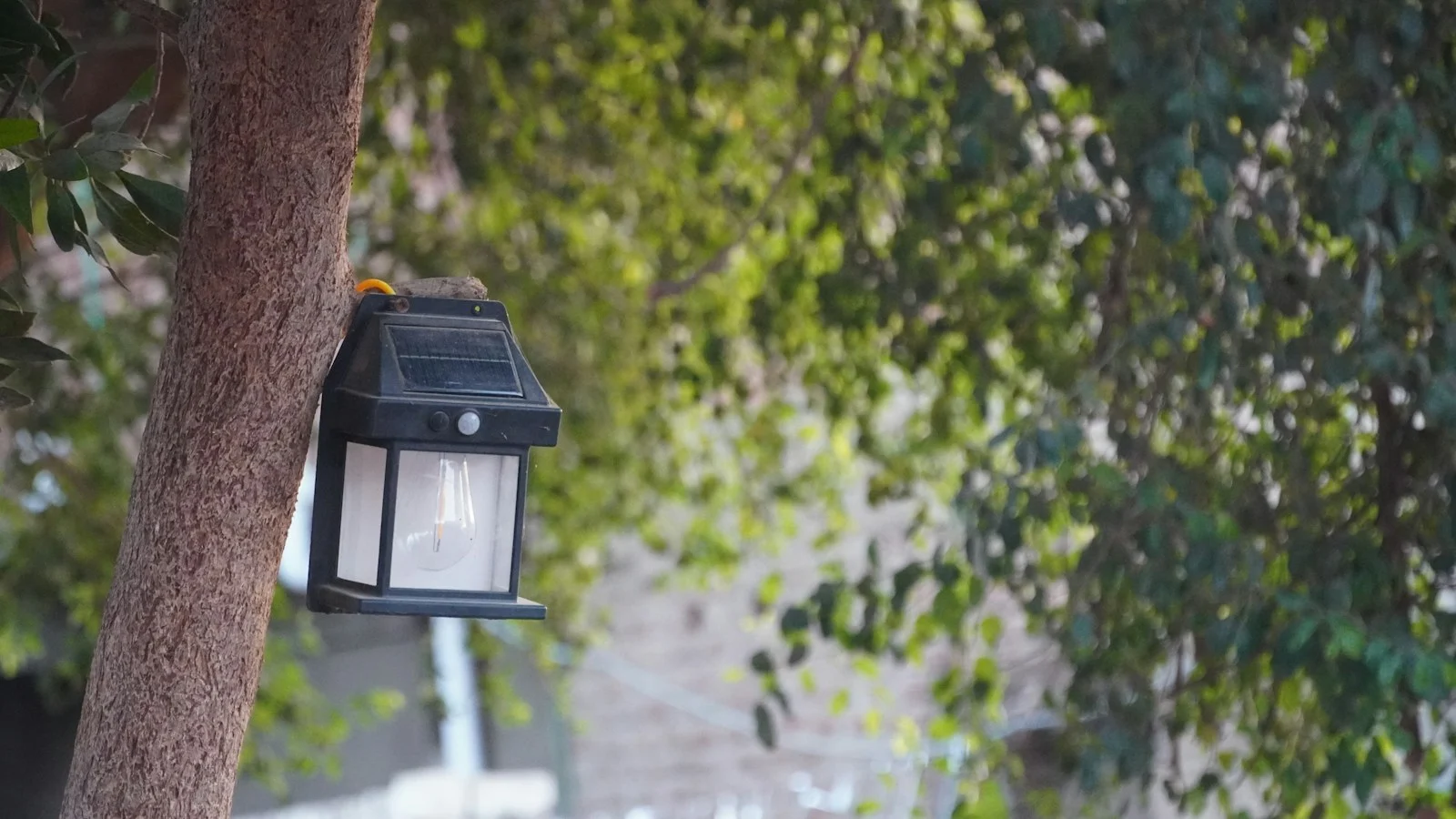 Luminária Solar Externa: Guia de Modelos para Parede, Muro e Garagem 1 A solar-powered lantern hangs on a tree