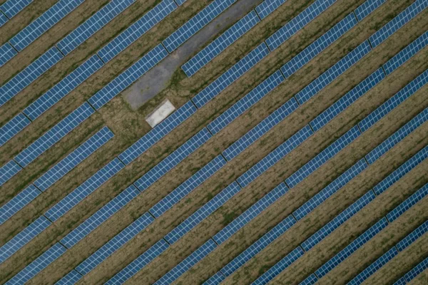 a bird flying over a building with a blue sky in the background